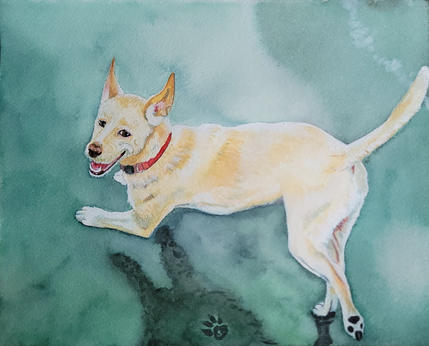 Custom hand-painted Watercolor Pet Portrait