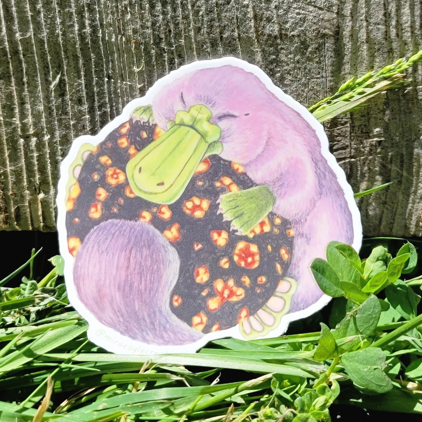 Snuffles the Plat Sticker | Fantasy Sticker | Platypus sticker | Whimsical vinyl sticker | Watercolor art | Bookish gift | Laptop sticker