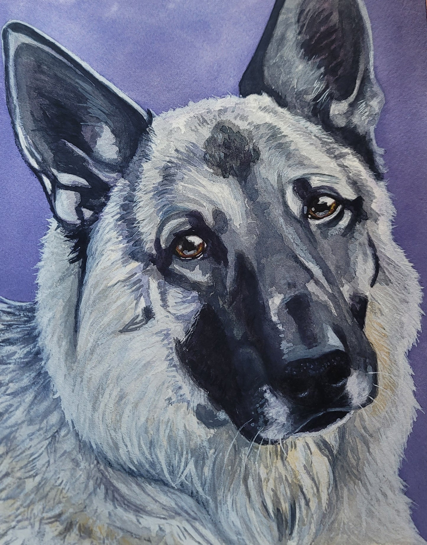 Custom hand-painted Watercolor Pet Portrait