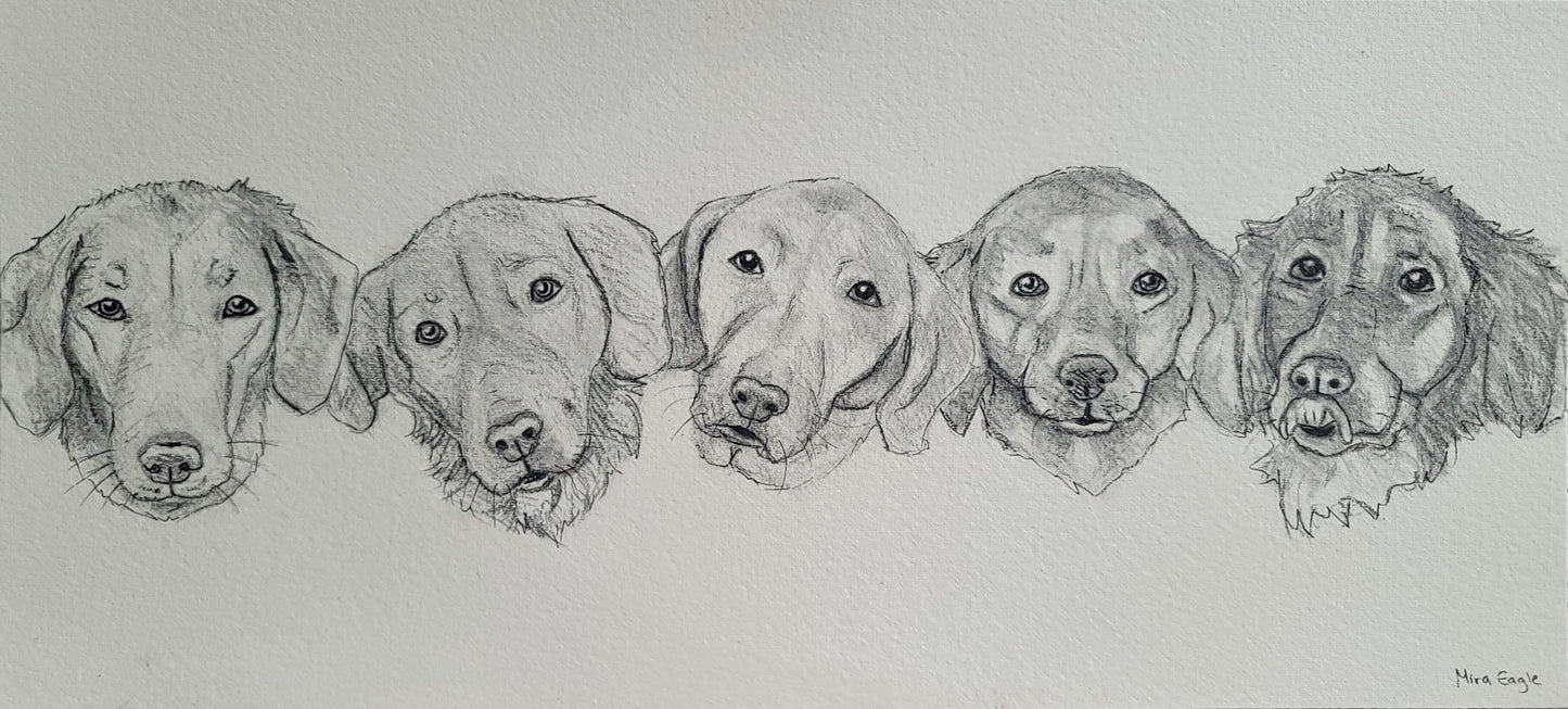 Custom Hand-drawn pet portrait