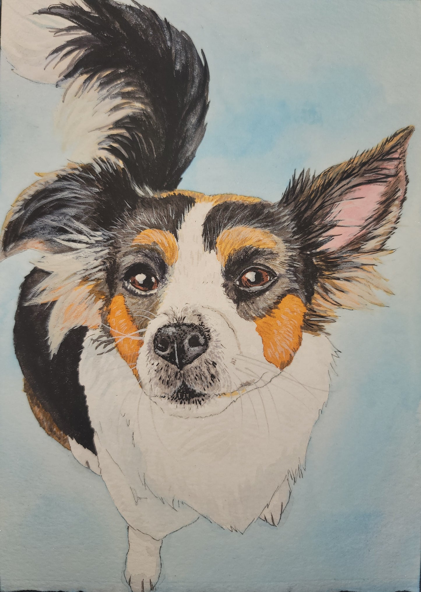 Custom hand-painted Watercolor Pet Portrait