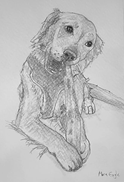 Custom Hand-drawn pet portrait