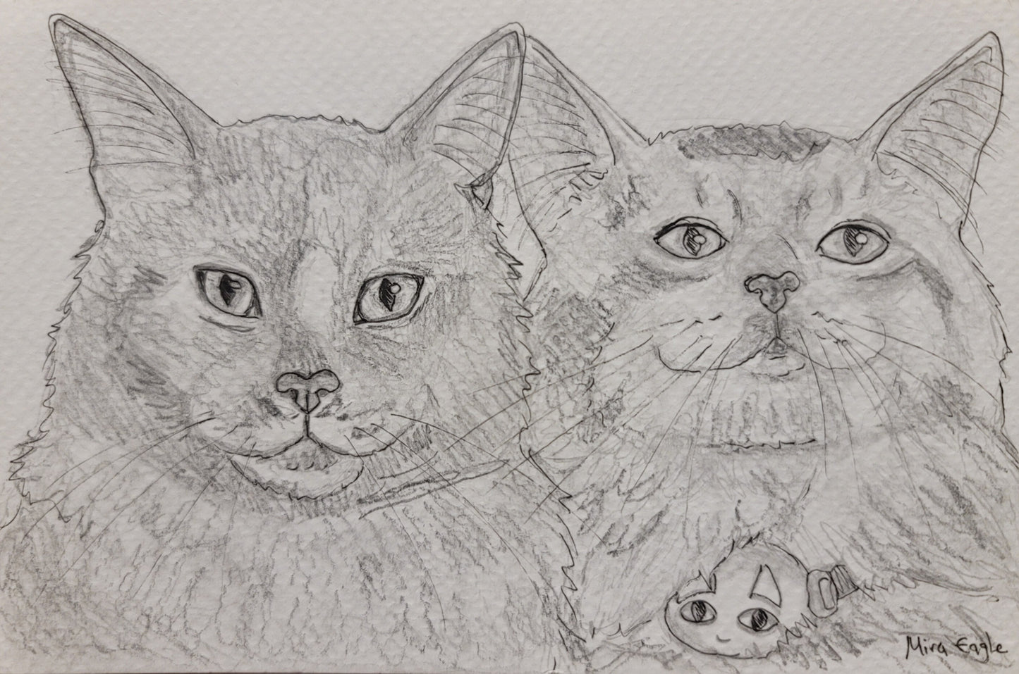 Custom Hand-drawn pet portrait