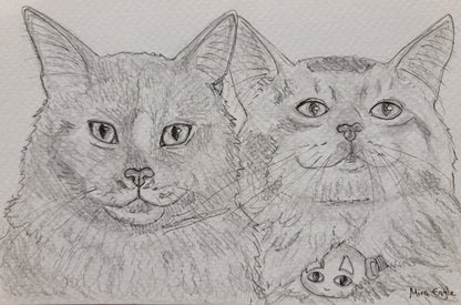 Custom Hand-drawn pet portrait