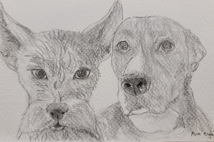 Custom Hand-drawn pet portrait