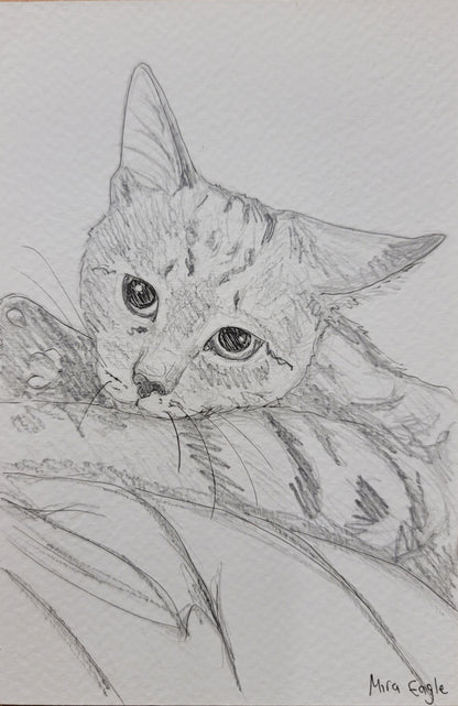 Custom Hand-drawn pet portrait