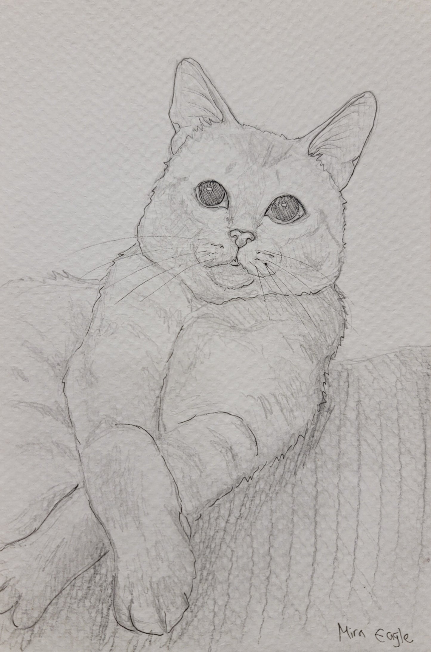 Custom Hand-drawn pet portrait