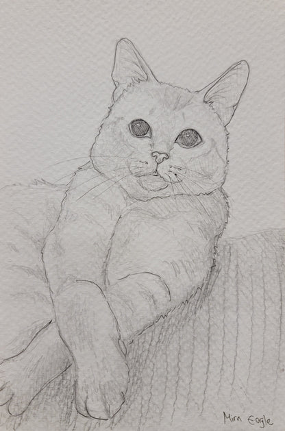 Custom Hand-drawn pet portrait