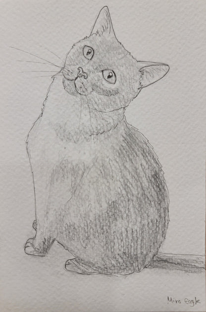 Custom Hand-drawn pet portrait