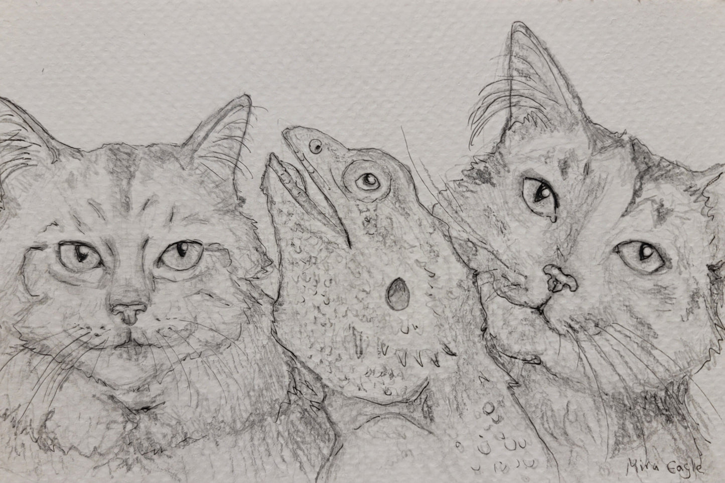 Custom Hand-drawn pet portrait