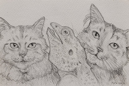 Custom Hand-drawn pet portrait