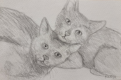 Custom Hand-drawn pet portrait