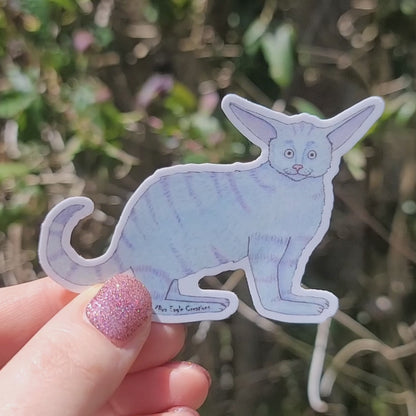 Lysk Sticker
